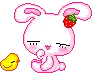 bunny