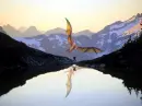 Dragon Reflection