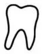 tooth