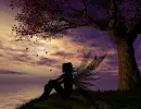 Sunset Fairy