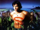 tom welling