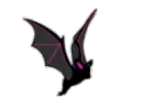 Bat flying