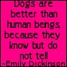 dogs are better than humans