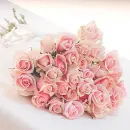 Pink Flowers