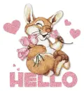 hello bunny