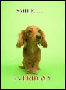 funny puppy-friday!