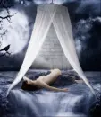 Don't Make Me Sleep Alone