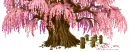 My Tree