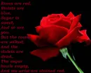 Emo Poem