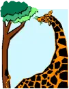 Animals Frames