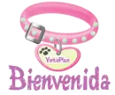 Bienvenida a YorkiePlace