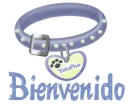 Bienvenido