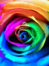 Simply Beautiful