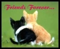 Friends Forever Cats