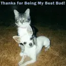 thanks for being my best bud
