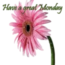 have a great monday