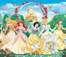 disney princess
