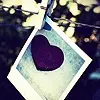 Photagraphy heart