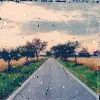 nature photagraphy