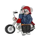 CREDDY BEAR BOY