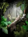 sleeping fairy