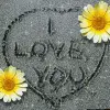 I love you Daisy's