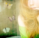 3 butterflys