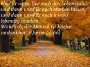 German Quran
