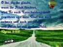 German Quran