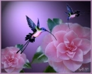 arte flores