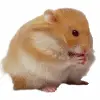 gtryr6y