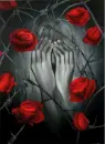 Barbed Wire and Roses