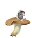 m03