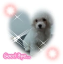 good bye!