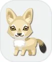 coyote
