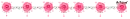 pink flower divider