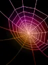 along came a spider