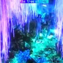 tree of souls - avatar