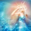 Dreamer
