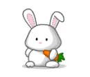 cute bunny