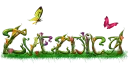 Zvezdica