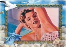 dolphins,marilyn