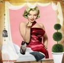 cat in room,marilyn