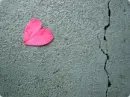 heart.