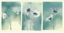 flowers.