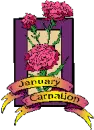 JANUARY FLOWER