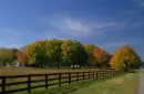 FALL
