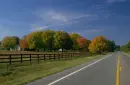 fall