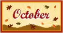 OCT