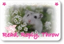 Read Reply Delete